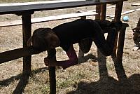 thumb DSC 1662 1024