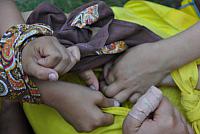 thumb DSC 1865 1024