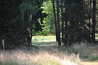 thumb DSC 1884 1024