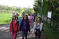 IMG 8083