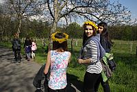 IMG 8154