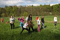 IMG 8229