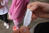 IMG 8387