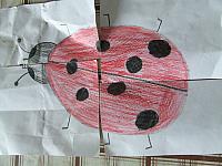 DSCF6737