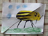 DSCF6740