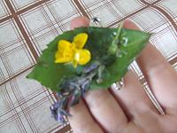 DSCF6771