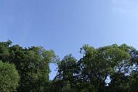 DSCF8972