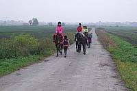 dscf8149