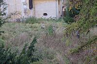 dscf8167