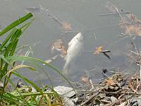 p1040163