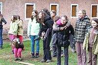 DSCF8729