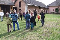 DSCF8738