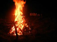DSCN6024