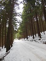 DSCN3654