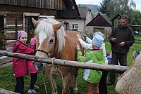 DSC 7606